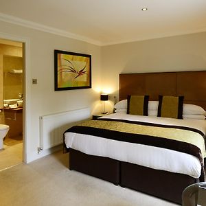 Decadent Room